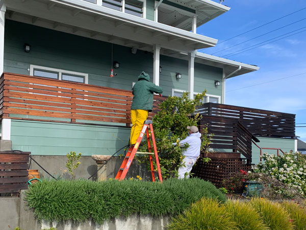 painting contractor Monterey Peninsula before and after photo stain-b